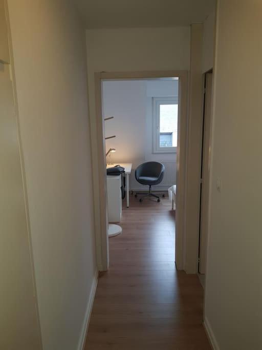 Apartamento Studio De La Petite France Estrasburgo Exterior foto
